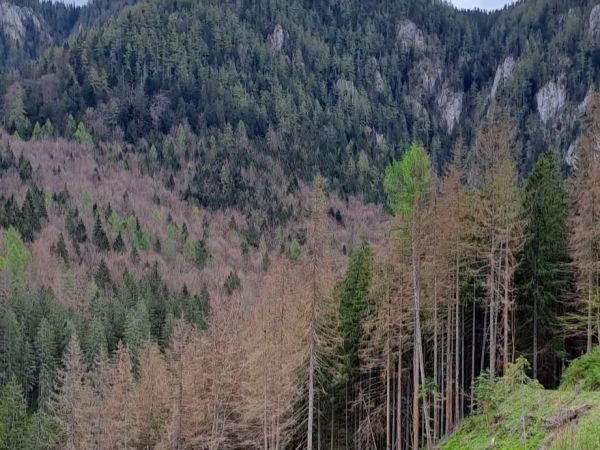 Foto: Ing. Cyril Bábeľa st. 