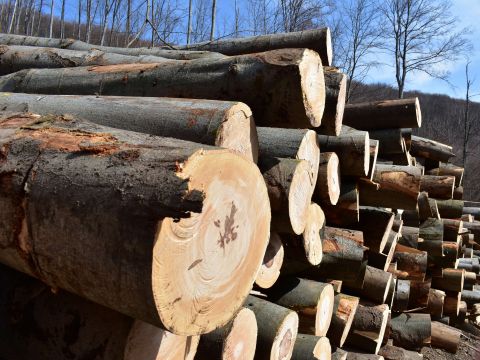 Ilustračné foto: Jozef Marko 