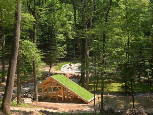 Momentka z Lesoparku Hlboké 