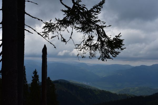 Pohľad z Fabovej hole na Muránskej planine