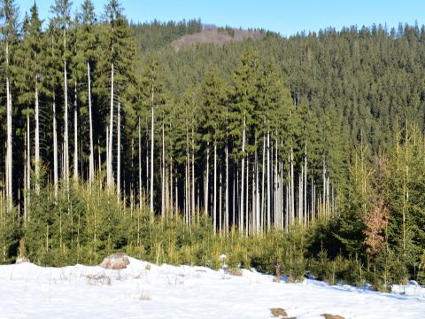 Ilustračné foto: Jozef Marko 