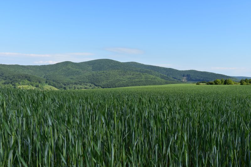 Slovenský vidiek - lesy a polia, obhospodarované ľuďmi