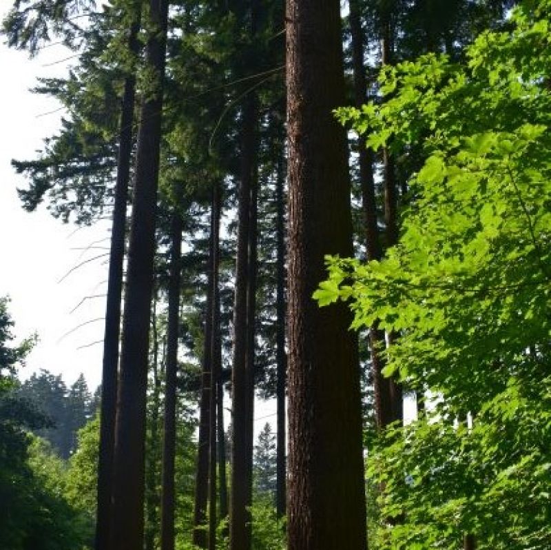 Ilustračné foto Jozef Marko