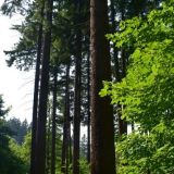 Ilustračn&eacute; foto Jozef Marko