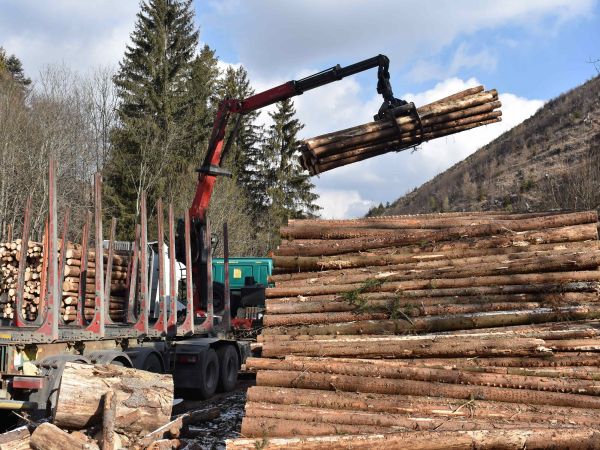 Ilustračné foto: Jozef Marko 