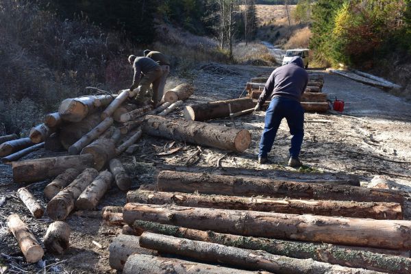 Pr&iacute;prava palivov&eacute;ho dreva v samov&yacute;robe