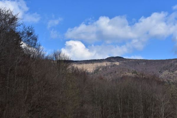 Lesy v bývalom Vojenskom obvode Javorina v Levočských vrchoch