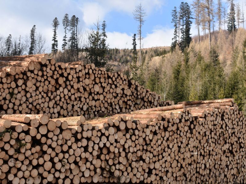 Ilustračné foto: Jozef Marko 