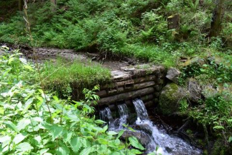Jedna z lesníckych prehrádzok na potoku pri Čiernom Balogu 