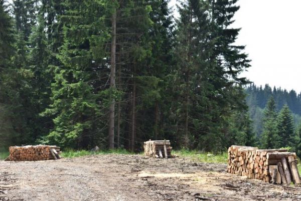 Ilustračn&eacute; foto Jozef Marko