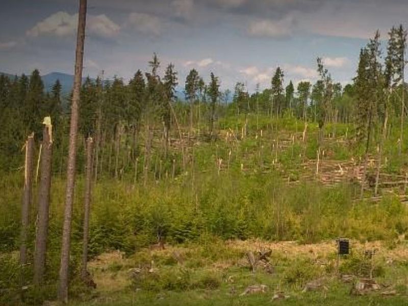 Keď dvaja robia to isté...