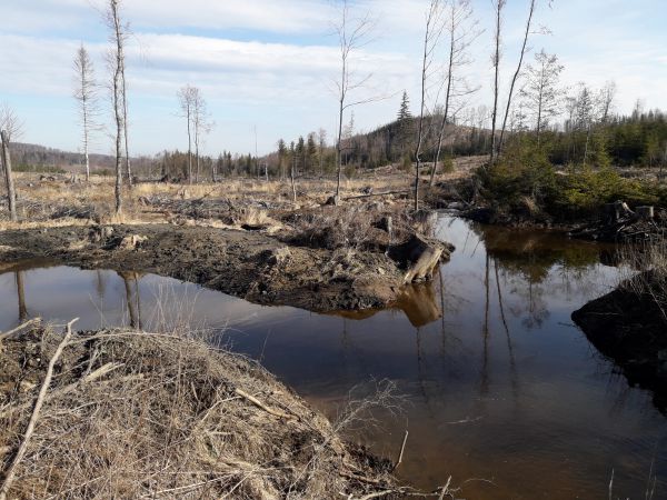 Jedna z piatich t&ocirc;n&iacute; 