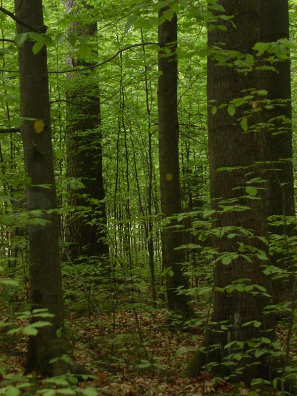 Ilustračn&eacute; foto