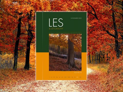 LES & Letokruhy NOVEMBER 2023