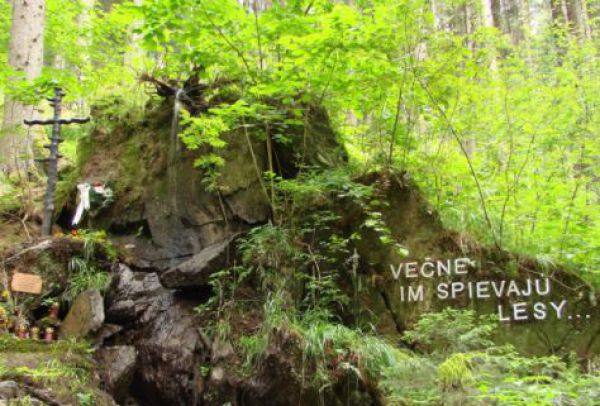 Večne im spievaj&uacute; lesy