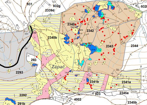 Ilustračn&eacute; foto R&oacute;bert Gomb&aacute;rik