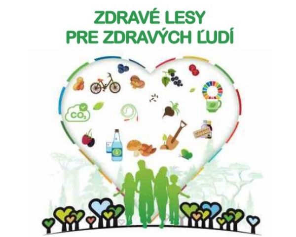 Zdroj: FB str&aacute;nka Lesn&aacute; pedagogika 