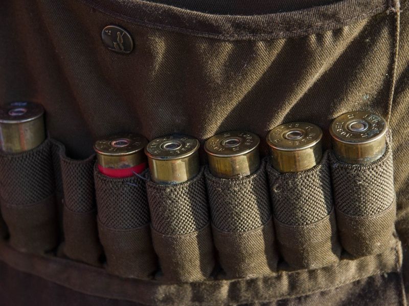 Ilustrační foto: Pixabay.com 