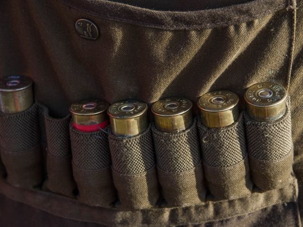 Ilustrační foto: Pixabay.com 