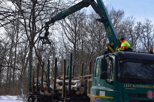 Ilustračné foto Jozef Marko