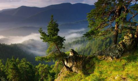 Prvé výkupy lesa v Slovenskom raji