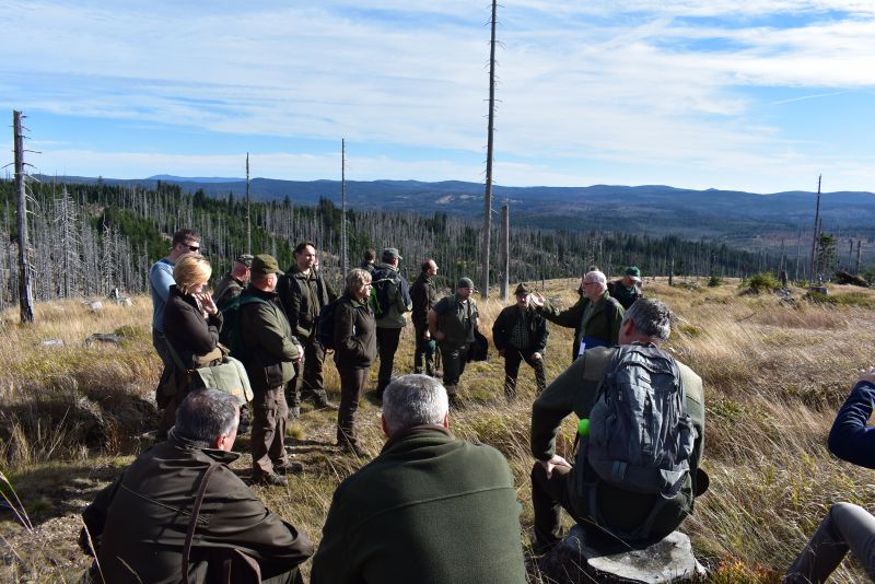 Slovenskí lesníci v Národnom parku Šumava počúvajú výklad českého kolegu 