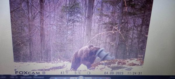 Foto: FB profil autora 