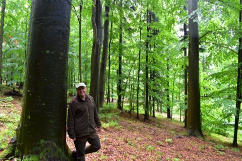 Lesník a "jeho" nádherné stromy. Peter "Brčo" Šiška pôsobil na Polesí Čermeľ pri Košiciach 20 roikov 