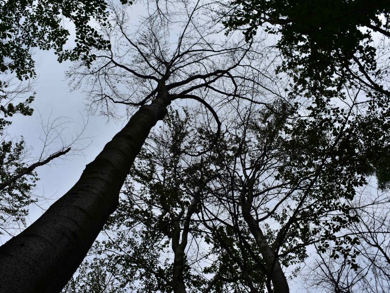 Ilustračné foto: Jozef Marko 