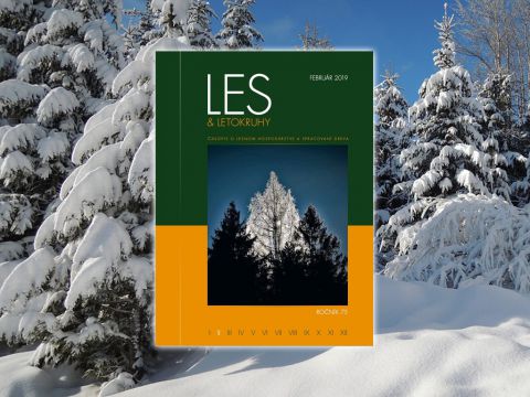 LES & Letokruhy FEBRUÁR 2019