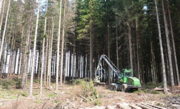 Ťažbu bud&uacute;ci rok Oravci nepl&aacute;nuj&uacute;