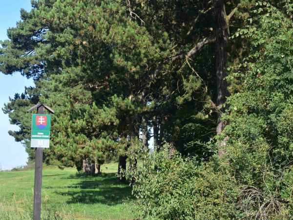 Ilustračn&eacute; foto: Jozef Marko 