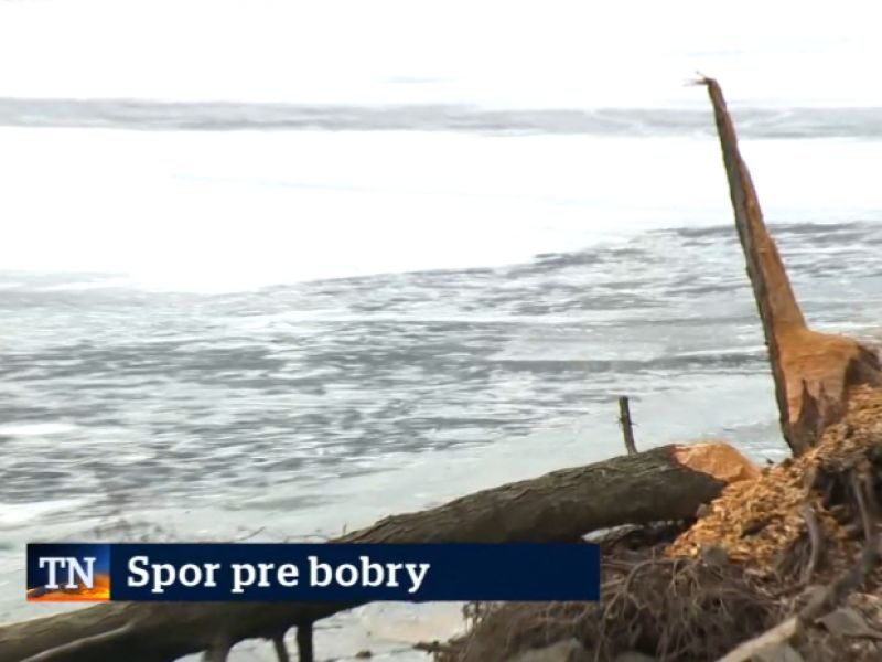 Zdroj: Internetov&aacute; str&aacute;nka www.tvnoviny.sk 