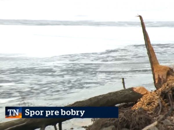 Zdroj: Internetová stránka www.tvnoviny.sk 