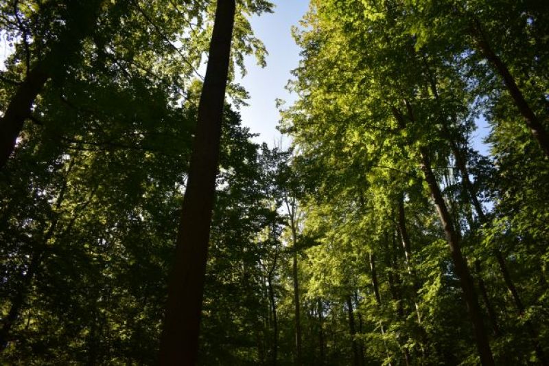 Ilustračné foto Jozef Marko