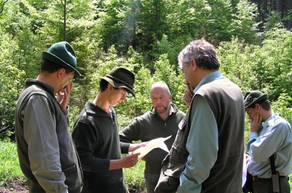 Ilustračn&eacute; foto: Slovensk&aacute; lesn&iacute;cka komora 