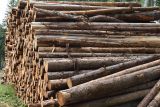 Vyťažen&eacute; kalamitn&eacute; drevo 