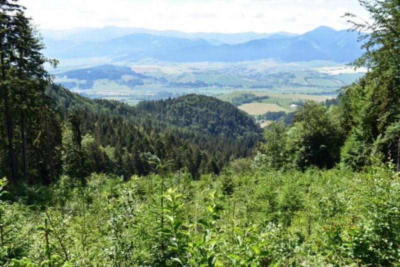 Ilustračné foto: Jozef Marko 