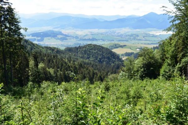 Ilustračné foto: Jozef Marko 