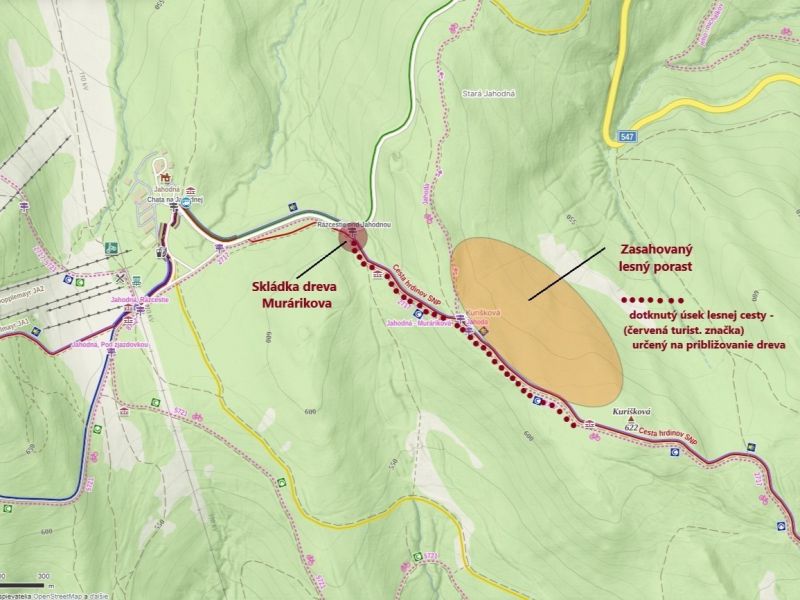 Zdroj: FB str&aacute;nka Mestsk&eacute; lesy Ko&scaron;ice 