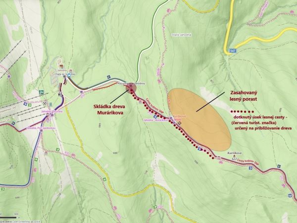 Zdroj: FB str&aacute;nka Mestsk&eacute; lesy Ko&scaron;ice 