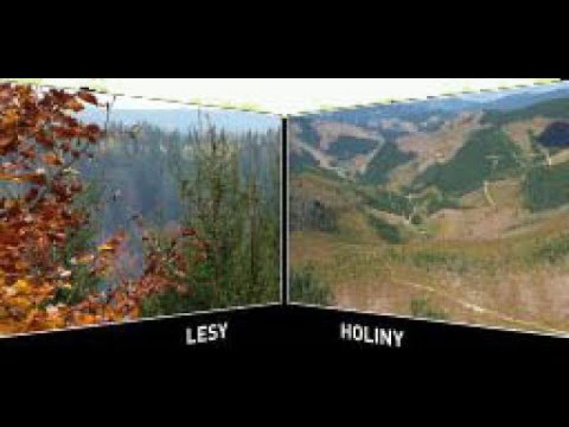 Lesy alebo holiny?