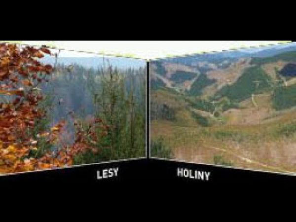 Lesy alebo holiny?