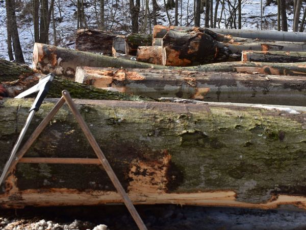 Ilustračné foto: Jozef Marko 