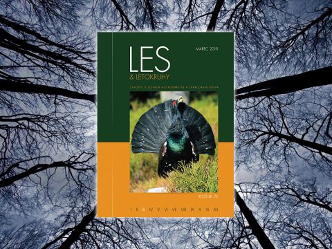 LES & Letokruhy MAREC 2019