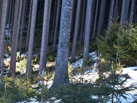 Ilustračné foto: Jozef Marko 