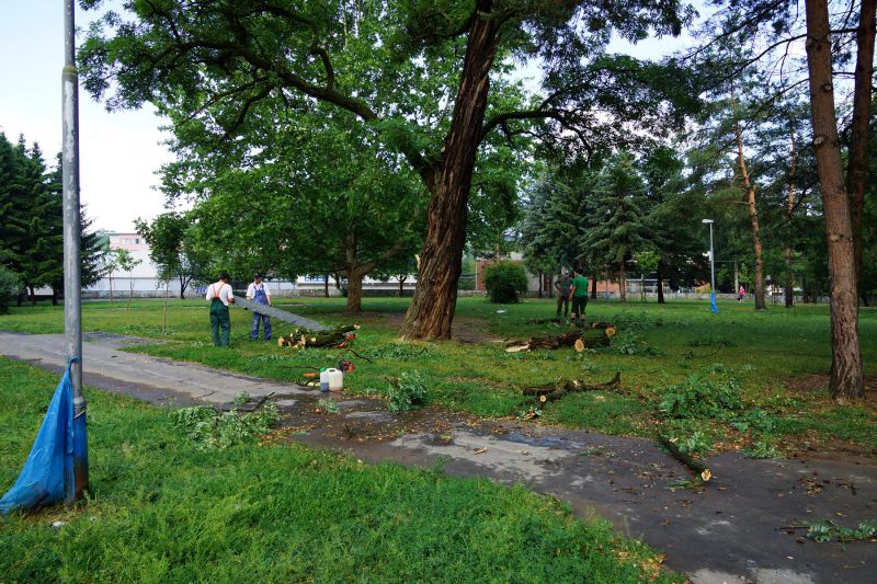 Kalamita v areáli TUZVO