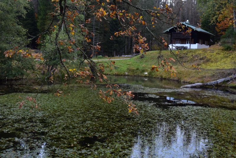 Ilustračné foto Jozef Marko
