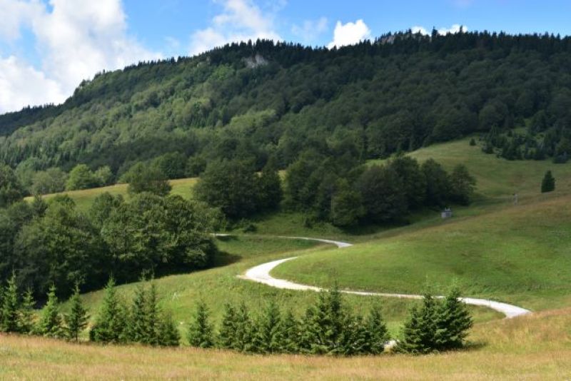 Ilustračn&eacute; foto Jozef Marko