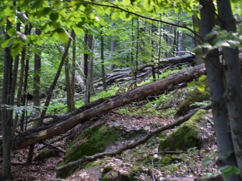 Ilustračné foto: Jozef Marko 